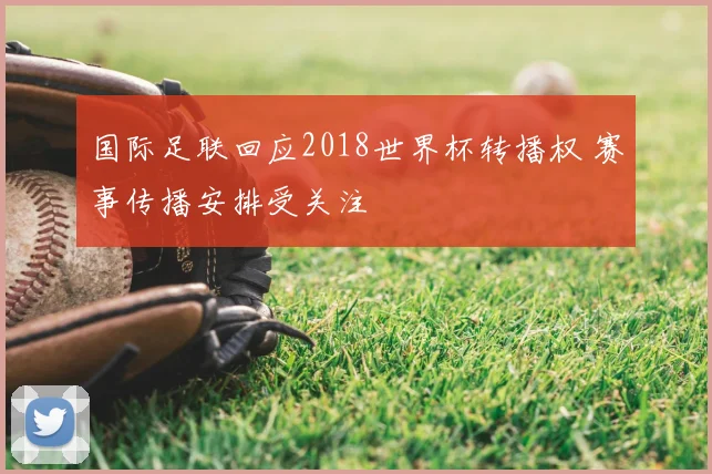 国际足联回应2018世界杯转播权 赛事传播安排受关注