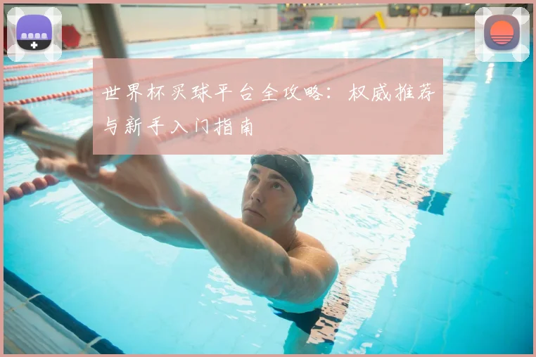 世界杯买球平台全攻略:权威推荐与新手入门指南