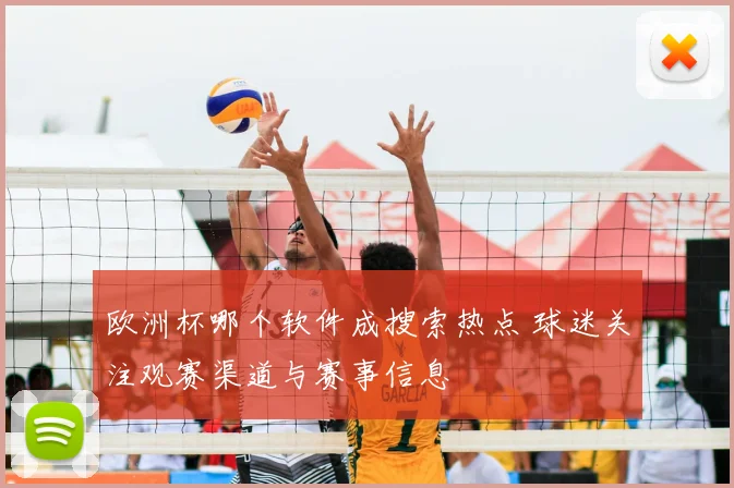 欧洲杯哪个软件成搜索热点 球迷关注观赛渠道与赛事信息