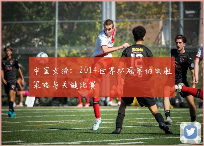 中国女排:2014世界杯冠军的制胜策略与关键比赛