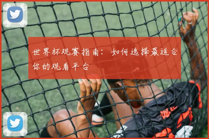 世界杯观赛指南：如何选择最适合你的观看平台