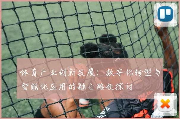 体育产业创新发展：数字化转型与智能化应用的融合路径探讨