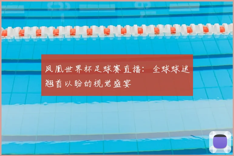 凤凰世界杯足球赛直播:全球球迷翘首以盼的视觉盛宴