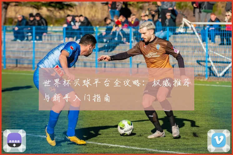世界杯买球平台全攻略：权威推荐与新手入门指南