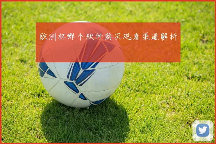 欧洲杯哪个软件购买观看渠道解析