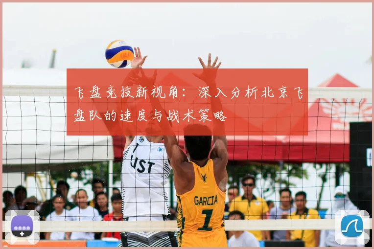 飞盘竞技新视角：深入分析北京飞盘队的速度与战术策略