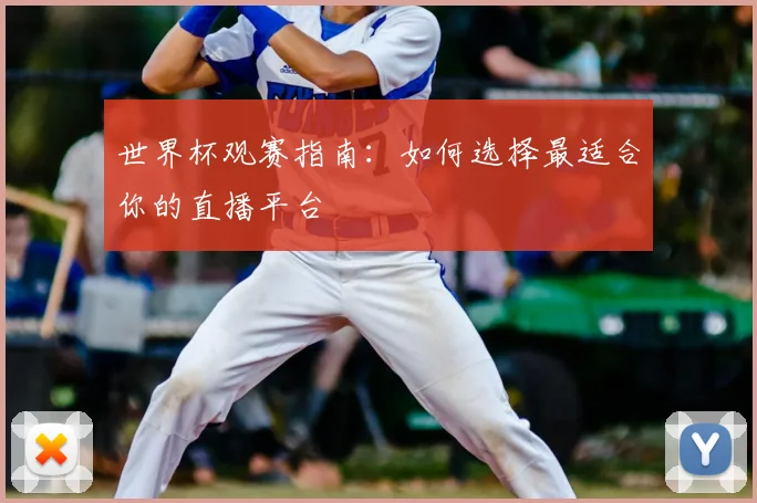 世界杯观赛指南：如何选择最适合你的直播平台