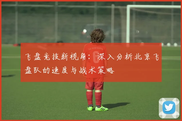 飞盘竞技新视角：深入分析北京飞盘队的速度与战术策略