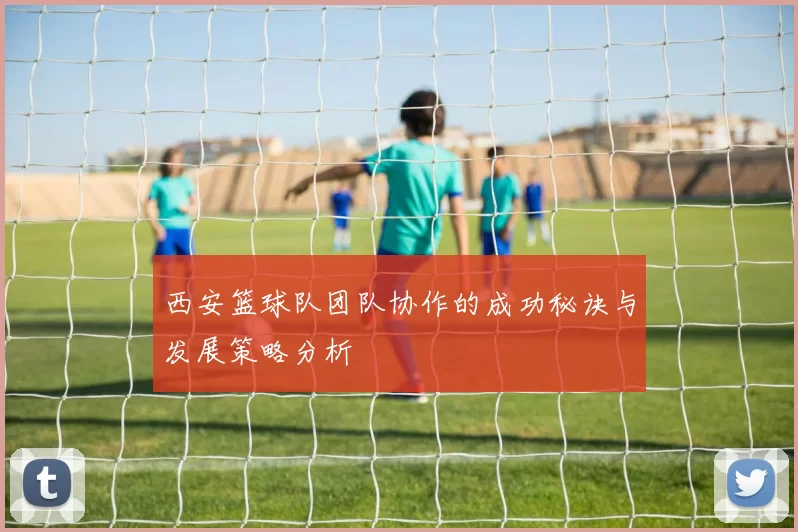 西安篮球队团队协作的成功秘诀与发展策略分析