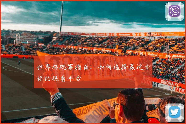 世界杯观赛指南:如何选择最适合你的观看平台