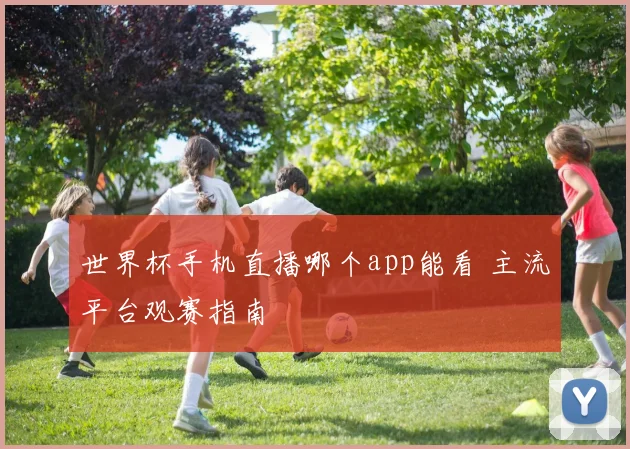 世界杯手机直播哪个app能看 主流平台观赛指南