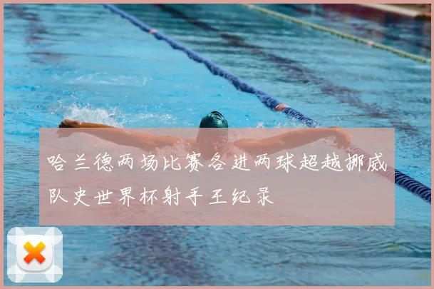 哈兰德两场比赛各进两球超越挪威队史世界杯射手王纪录